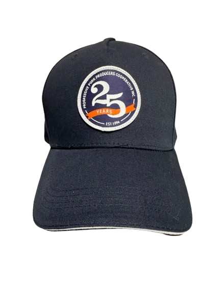 25th Anniversary Hat